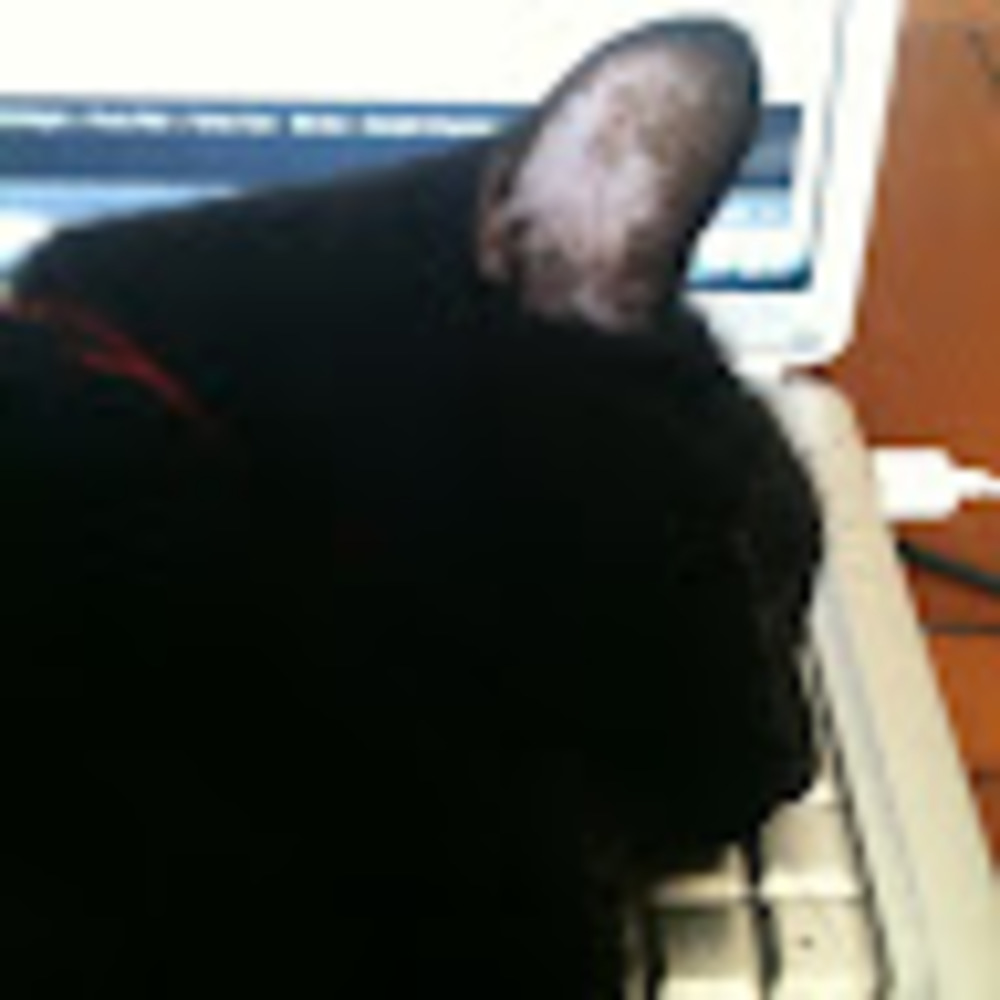 Meet your Posher, Laura